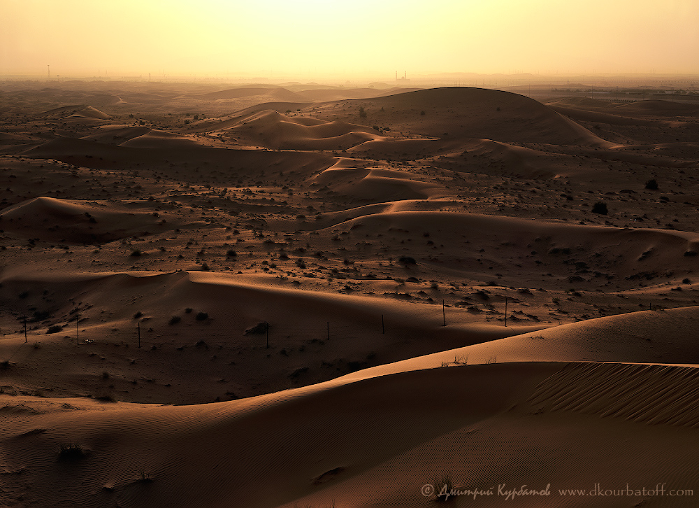 ОАЭ, пустыня в Аль-Айн