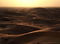 ОАЭ, пустыня в Аль-Айн