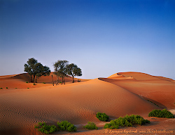 ОАЭ, пустыня близ Аль-Айн